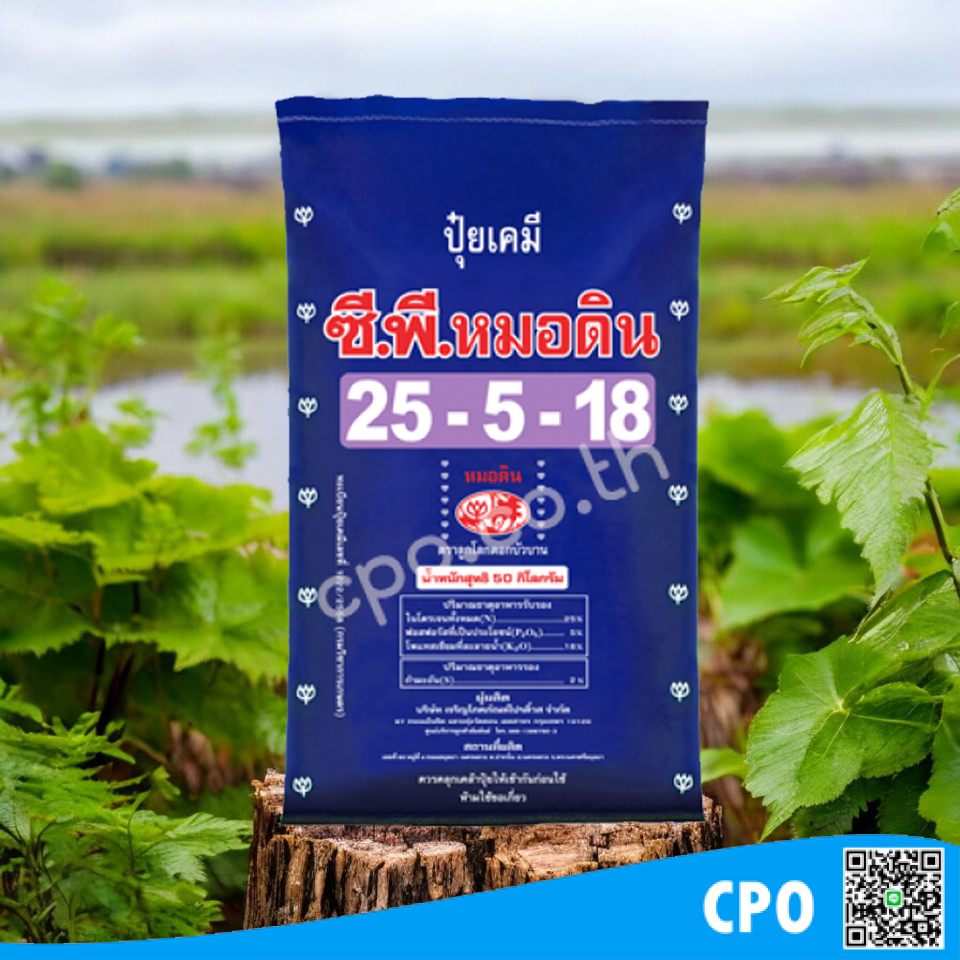 สินค้าใกล้เคียง